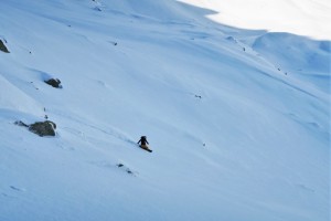 backcountry_guiding_5